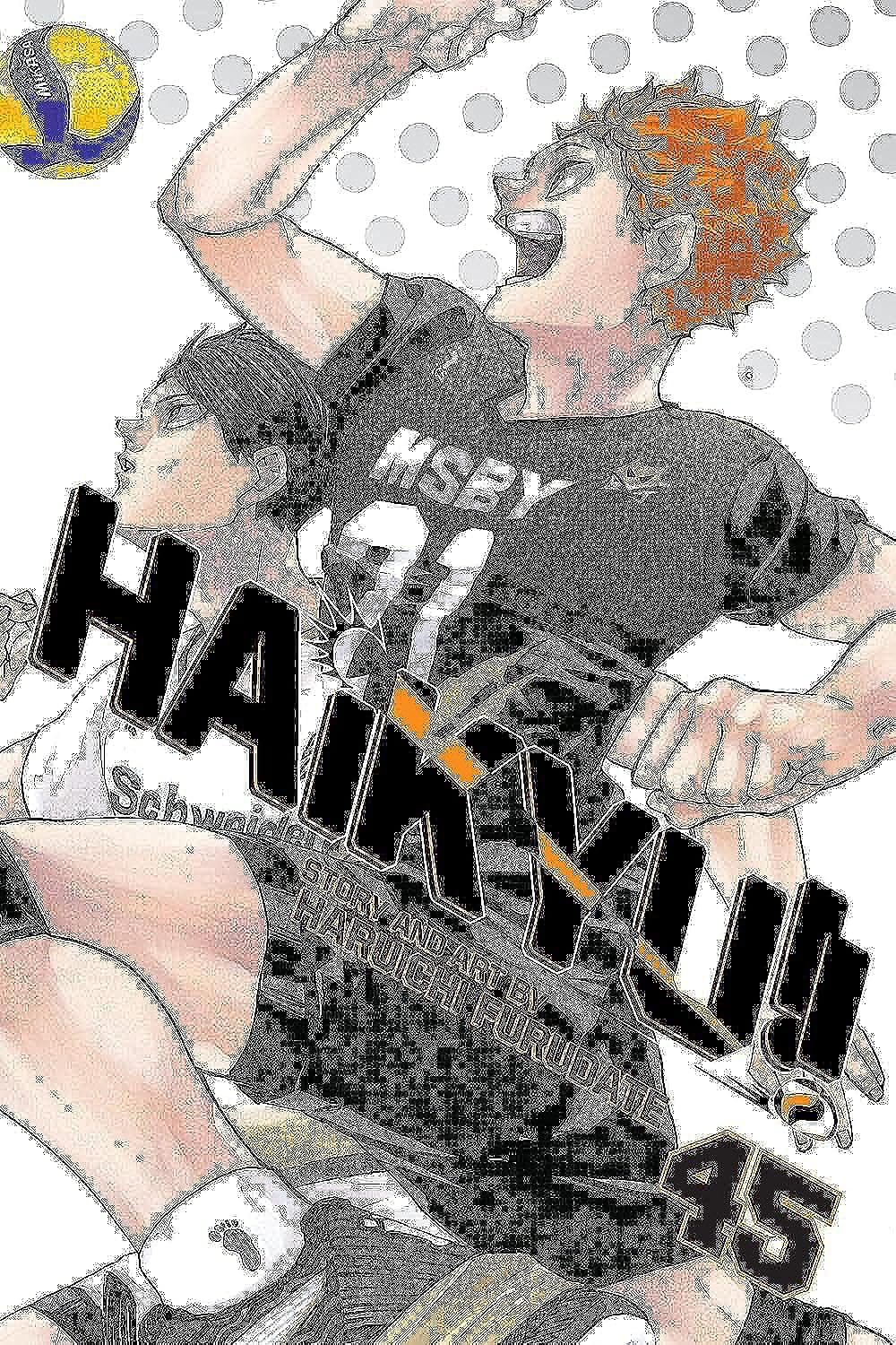 Haikyu!!, Vol. 45 (45): 9781974723645: Furudate, Haruichi: Books