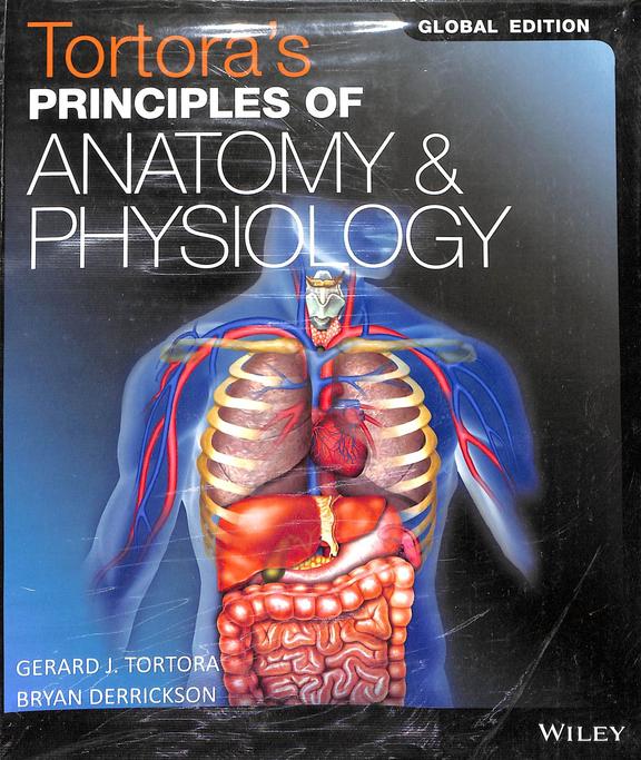 Of　Anatomy　Principles　–　BookStation　Tortora's　Physiology