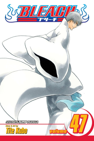 Bleach 47: End of the Chrysalis Age: Volume 47