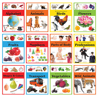 My First Picture Books Collection 