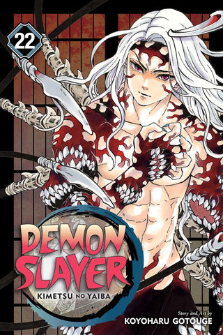 Demon Slayer: Kimetsu no Yaiba, Vol. 22 (Volume 22) 