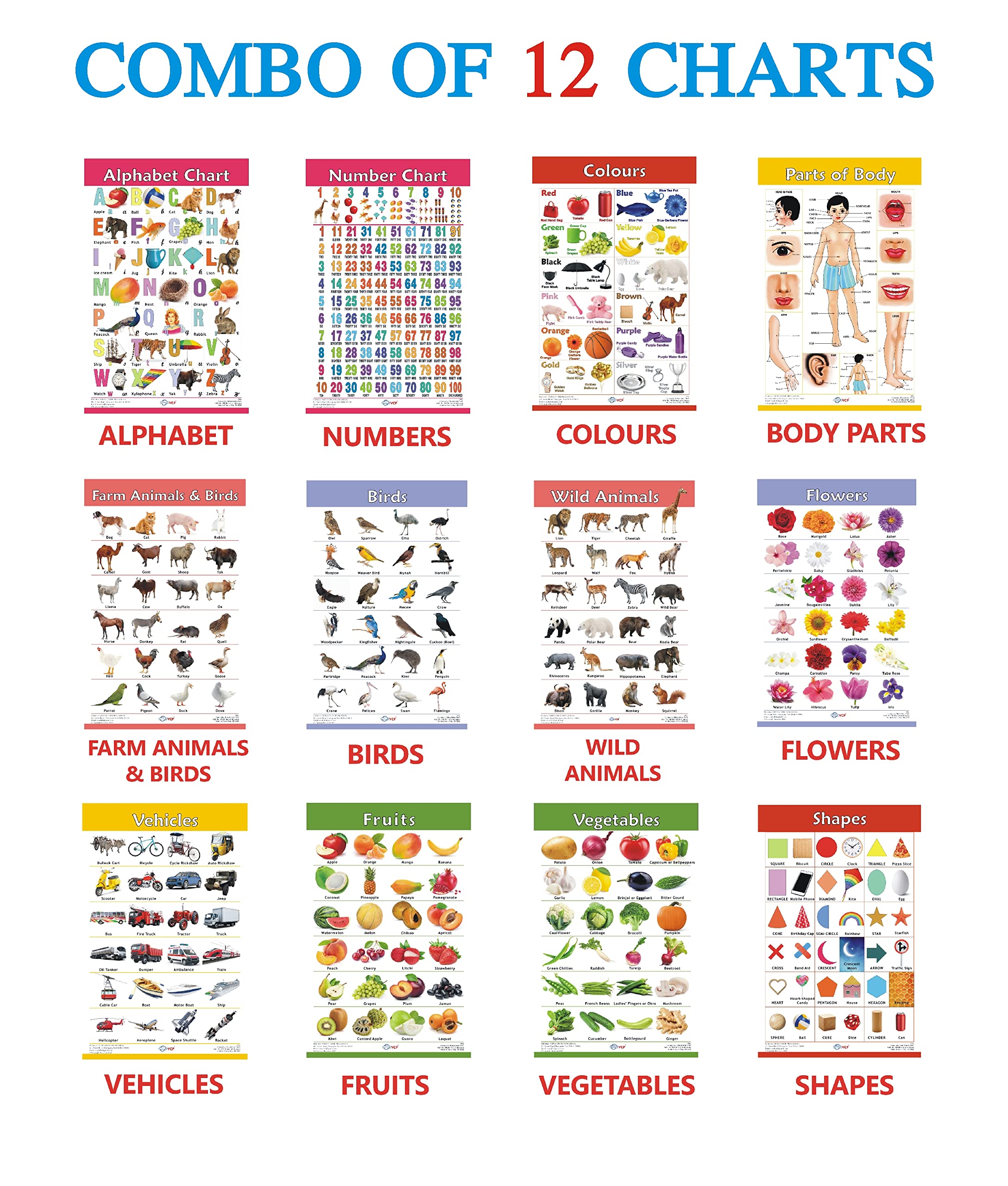 Early Learning Educational Chart Set for Kids | Set of 12 HARD LAMINAT ...