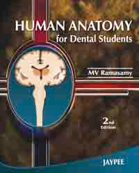 Human Anatomy for Dental Students