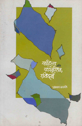 Sahitya Ani Sanskrutik Sanvedan