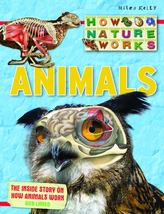 How Nature Works Animals
