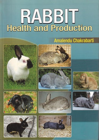 Rabbit : Health And Production