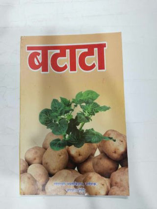 Batata