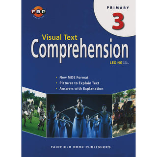Visual Text Comprehension Primary 3
