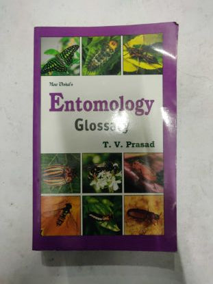 Entomology Glossary
