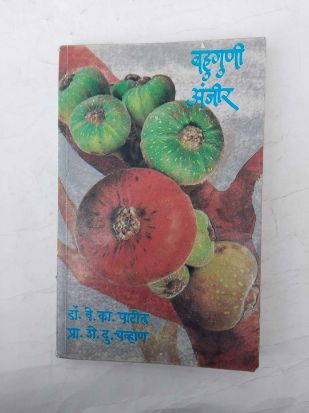 बहुगुणी अंजीर