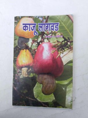 काजु लगवद् तंत्रज्ञान वा प्रक्रीया