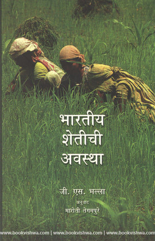 भारतिये शेटीची स्थिती