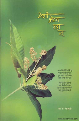 अशि भेटत राहा तू