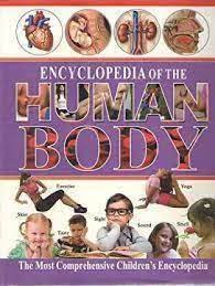 Encyclopedia Of The Human Body