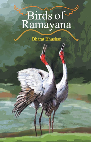Birds Of Ramayana
