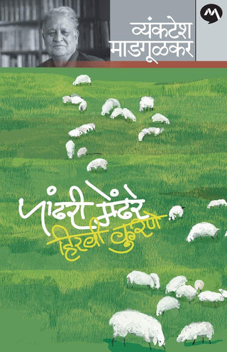 पंढरी मेंढरे हिरवी कुरणे
