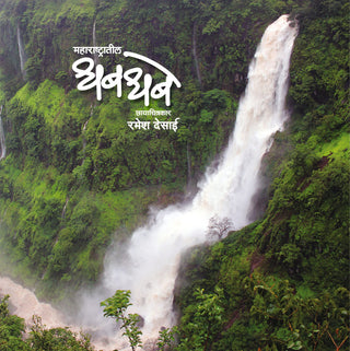 Maharashtrateel Dhabdhabe