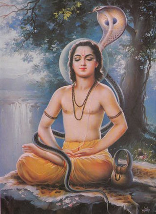 Shri Eknathi Bhagwat
