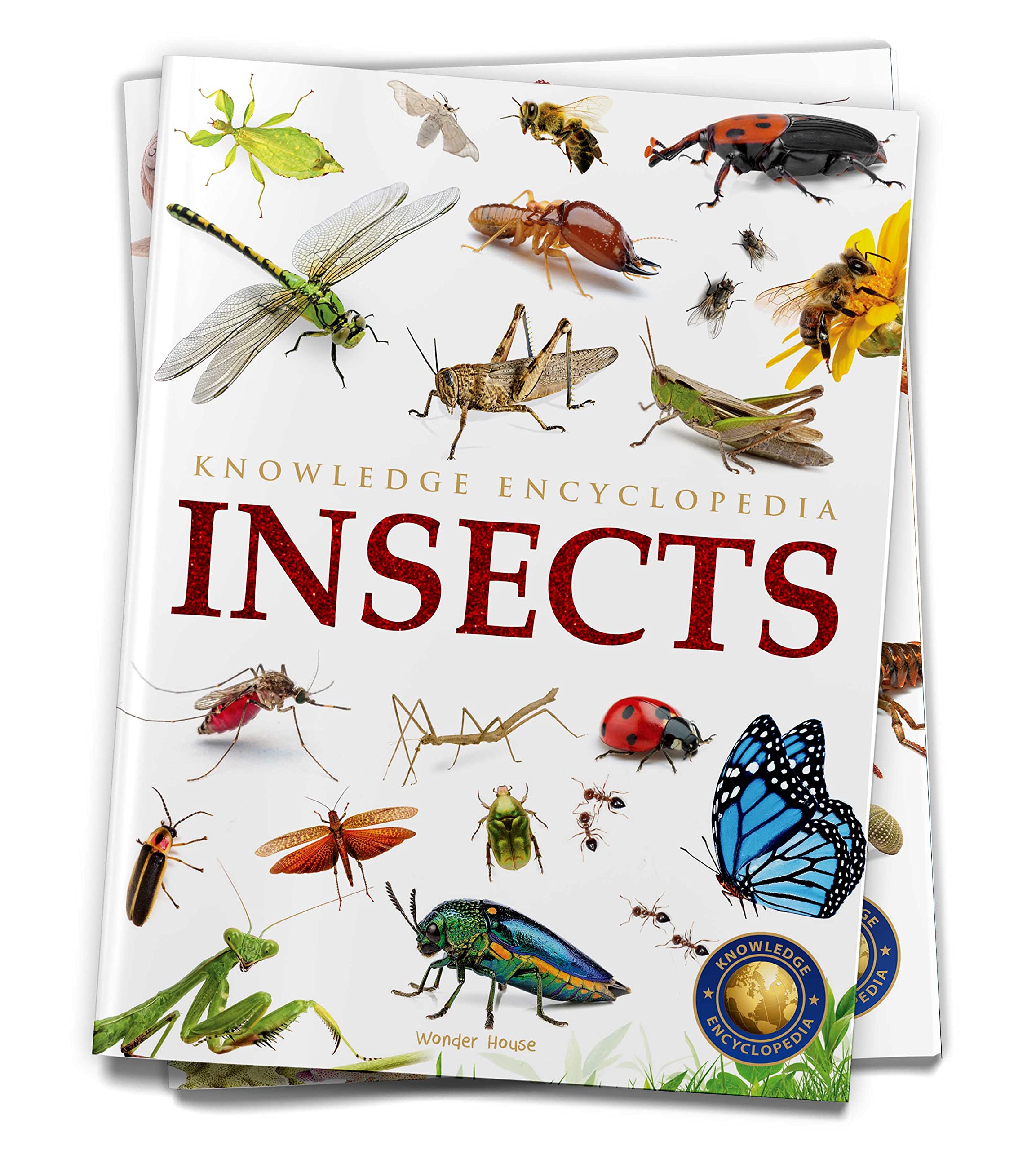 Knowledge Encyclopedia : Insects – BookStation