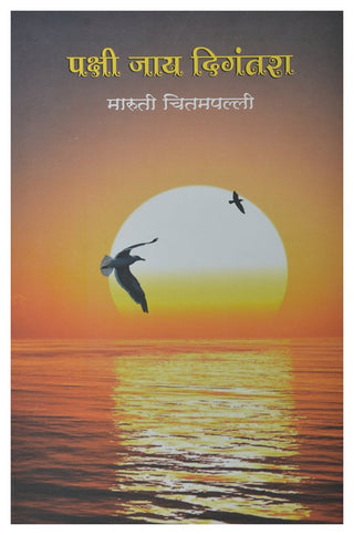 Pakshi Jaay Digantara