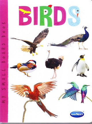 My Small Board Book Birds