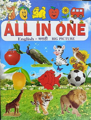 All In One English - Marathi Big Picture