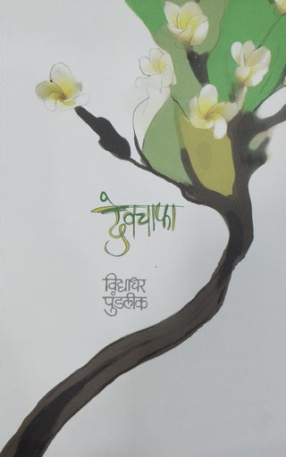 Devchafa